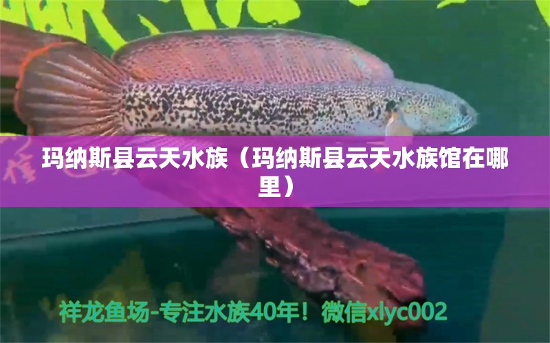 玛纳斯县云天水族（玛纳斯县云天水族馆在哪里） 全国水族馆企业名录