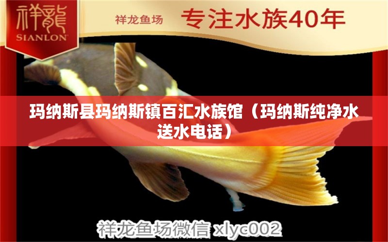 玛纳斯县玛纳斯镇百汇水族馆（玛纳斯纯净水送水电话）