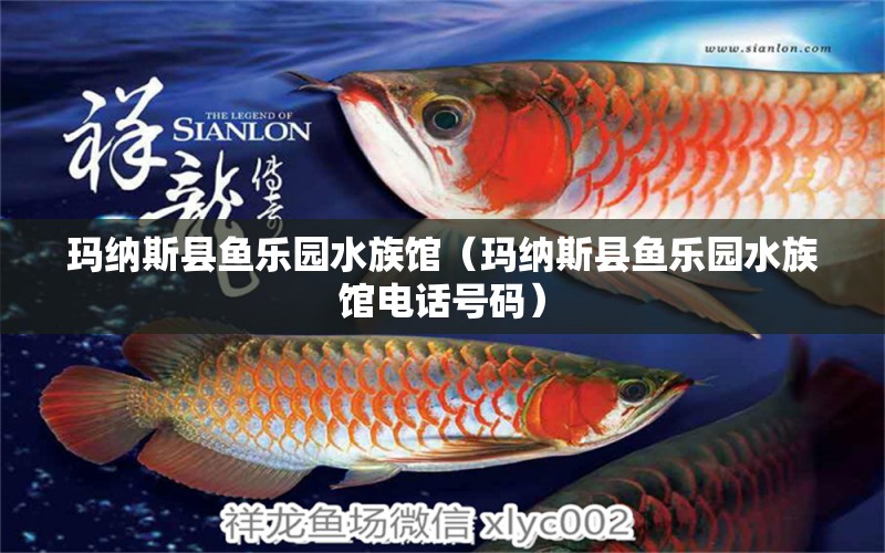 玛纳斯县鱼乐园水族馆（玛纳斯县鱼乐园水族馆电话号码）