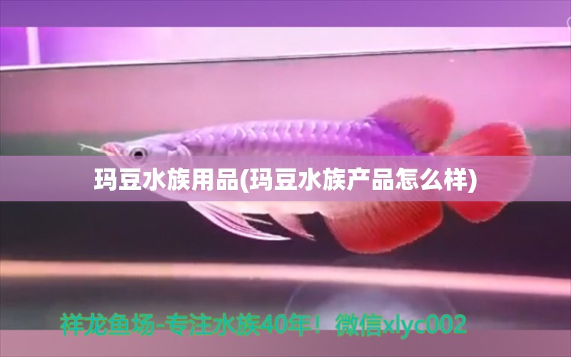 玛豆水族用品(玛豆水族产品怎么样)