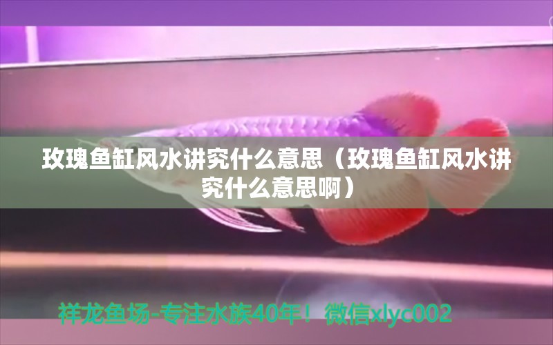 玫瑰鱼缸风水讲究什么意思（玫瑰鱼缸风水讲究什么意思啊）