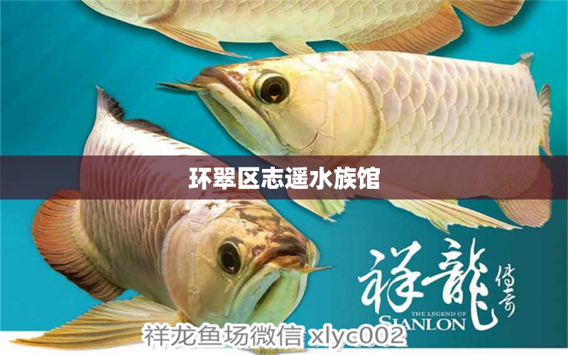 环翠区志遥水族馆