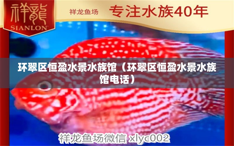 环翠区恒盈水景水族馆（环翠区恒盈水景水族馆电话） 全国水族馆企业名录