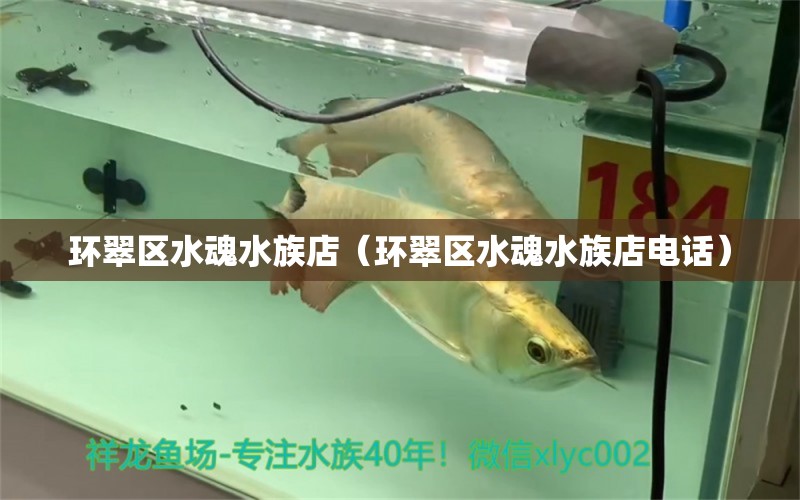 环翠区水魂水族店（环翠区水魂水族店电话）