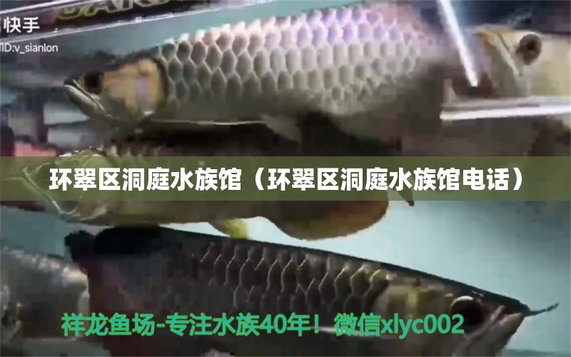 环翠区洞庭水族馆（环翠区洞庭水族馆电话）