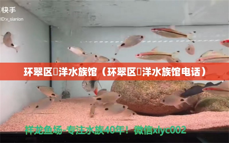 环翠区洺洋水族馆（环翠区洺洋水族馆电话）