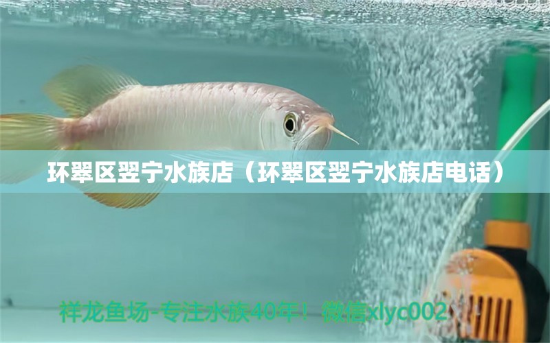 环翠区翌宁水族店（环翠区翌宁水族店电话）