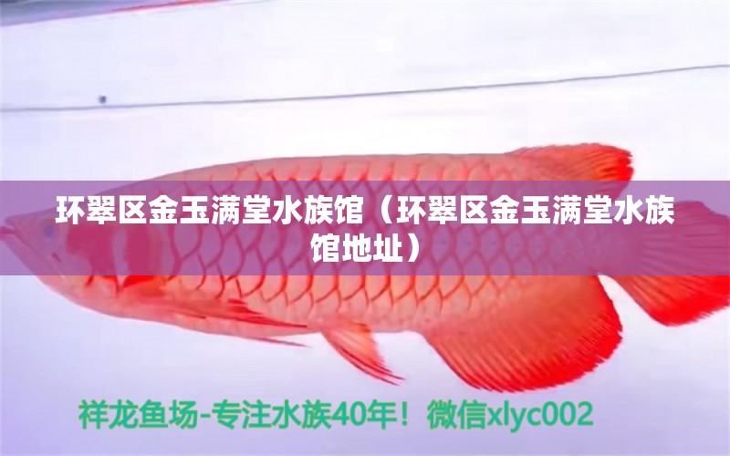 环翠区金玉满堂水族馆（环翠区金玉满堂水族馆地址） 全国水族馆企业名录