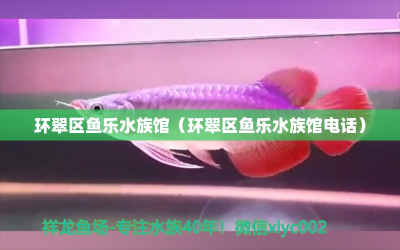 环翠区鱼乐水族馆（环翠区鱼乐水族馆电话）