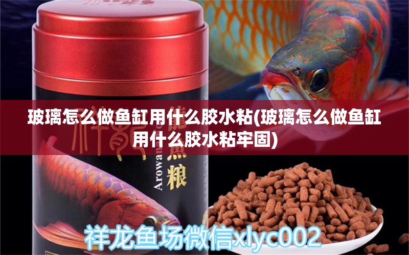 玻璃怎么做鱼缸用什么胶水粘(玻璃怎么做鱼缸用什么胶水粘牢固) 观赏鱼进出口