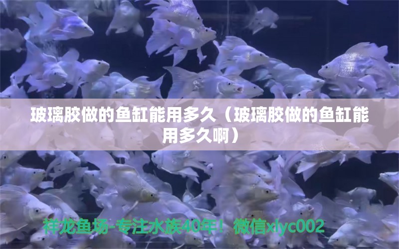 玻璃胶做的鱼缸能用多久（玻璃胶做的鱼缸能用多久啊）