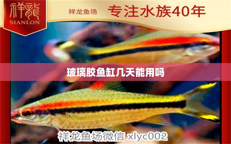 玻璃胶鱼缸几天能用吗 祥龙水族医院