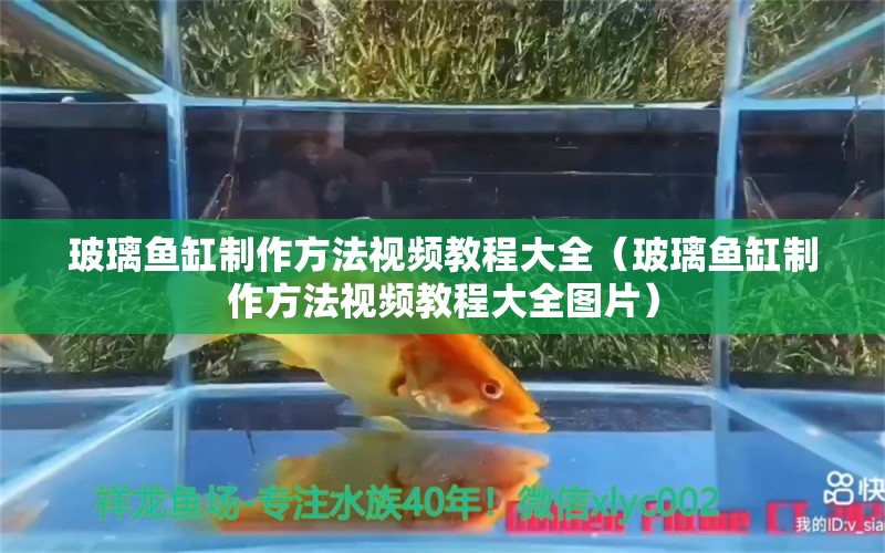 玻璃鱼缸制作方法视频教程大全（玻璃鱼缸制作方法视频教程大全图片）