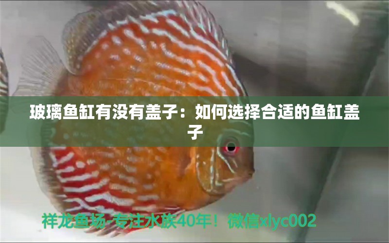 玻璃鱼缸有没有盖子：如何选择合适的鱼缸盖子 鱼缸百科 第2张