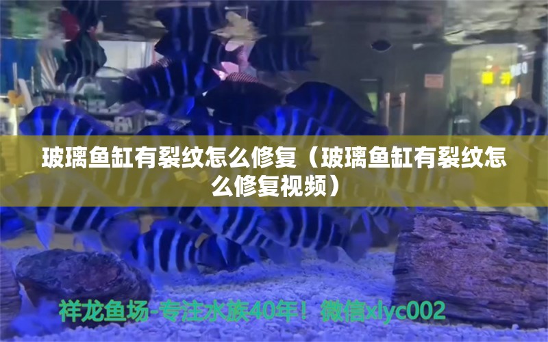 玻璃鱼缸有裂纹怎么修复（玻璃鱼缸有裂纹怎么修复视频）