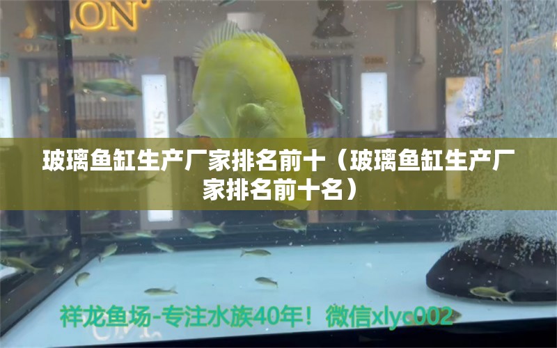 玻璃鱼缸生产厂家排名前十（玻璃鱼缸生产厂家排名前十名） 印尼虎苗