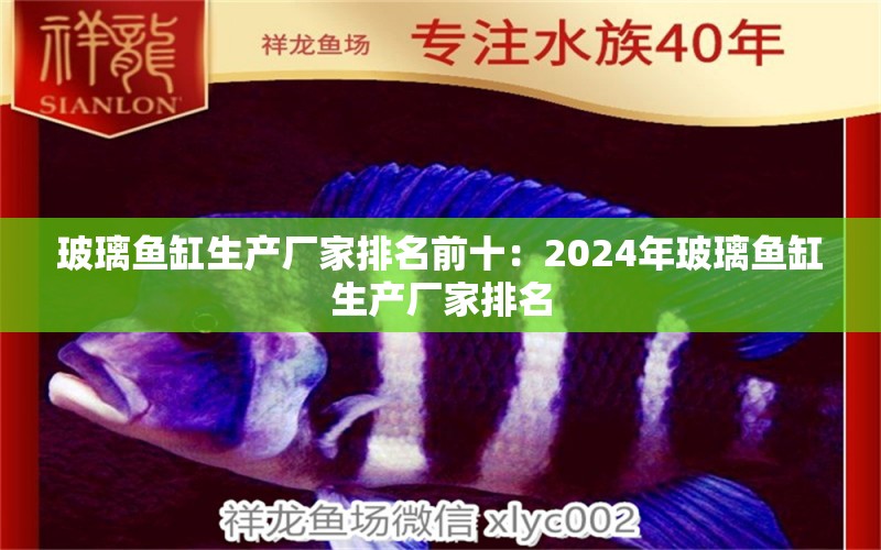 玻璃鱼缸生产厂家排名前十：2024年玻璃鱼缸生产厂家排名 鱼缸百科 第2张