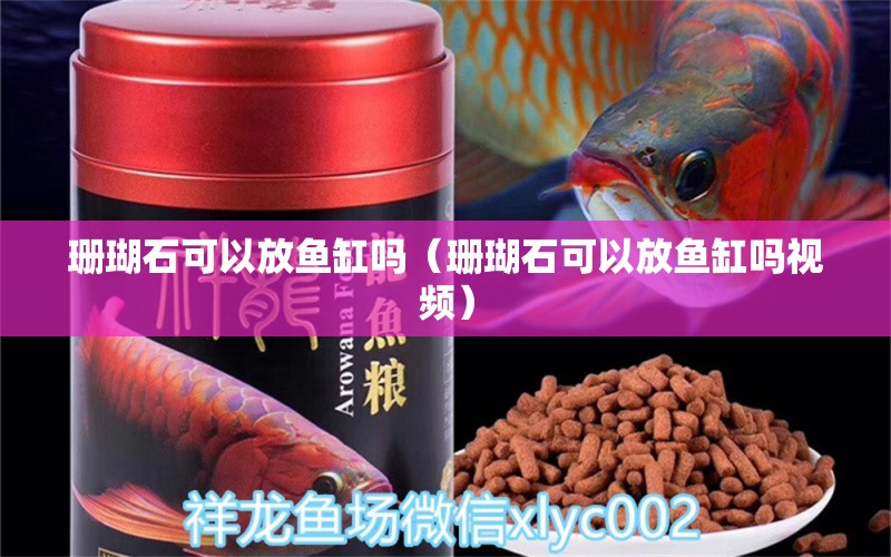 珊瑚石可以放鱼缸吗（珊瑚石可以放鱼缸吗视频） 其他品牌鱼缸