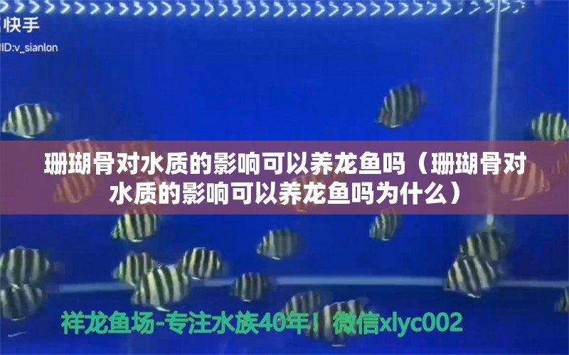 珊瑚骨对水质的影响可以养龙鱼吗（珊瑚骨对水质的影响可以养龙鱼吗为什么） 其他品牌鱼缸