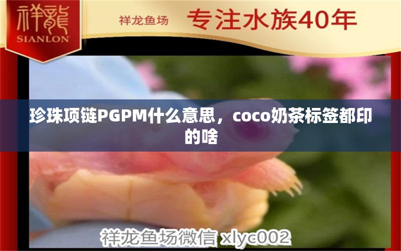 珍珠项链PGPM什么意思，coco奶茶标签都印的啥