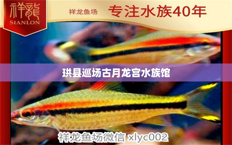 珙县巡场古月龙宫水族馆