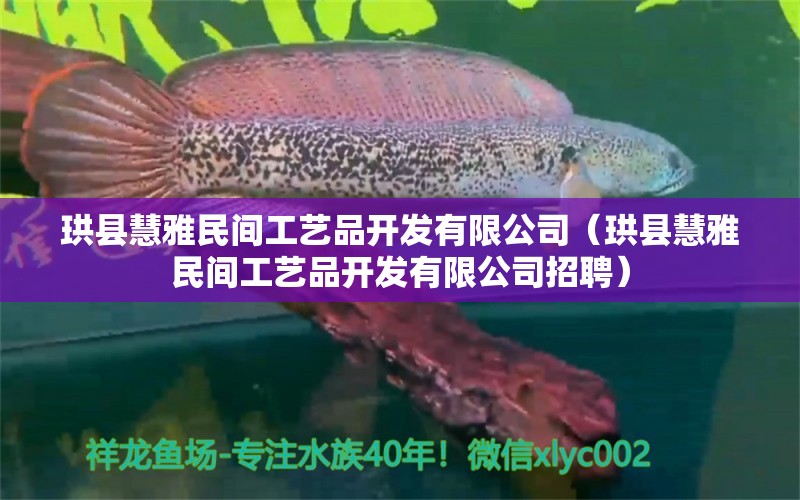 珙县慧雅民间工艺品开发有限公司（珙县慧雅民间工艺品开发有限公司招聘）