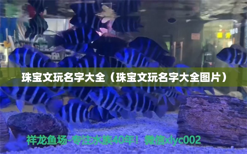 珠宝文玩名字大全（珠宝文玩名字大全图片）