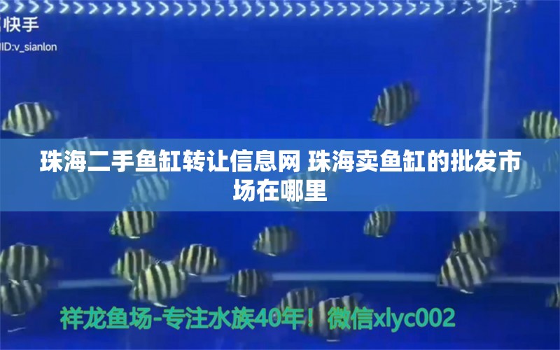 珠海二手鱼缸转让信息网 珠海卖鱼缸的批发市场在哪里