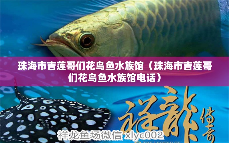 珠海市吉莲哥们花鸟鱼水族馆（珠海市吉莲哥们花鸟鱼水族馆电话）