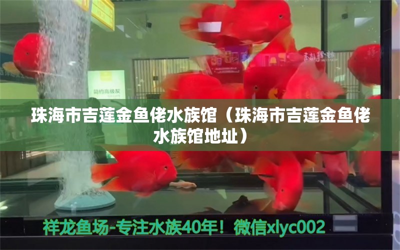 珠海市吉莲金鱼佬水族馆（珠海市吉莲金鱼佬水族馆地址） 全国水族馆企业名录