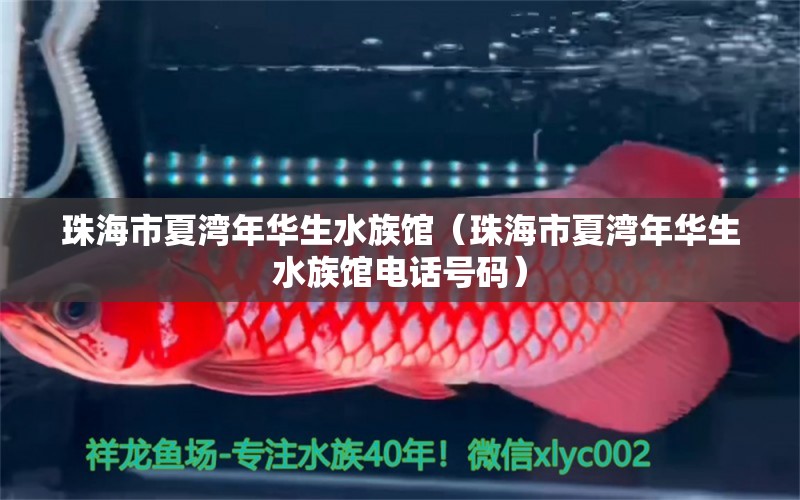 珠海市夏湾年华生水族馆（珠海市夏湾年华生水族馆电话号码）