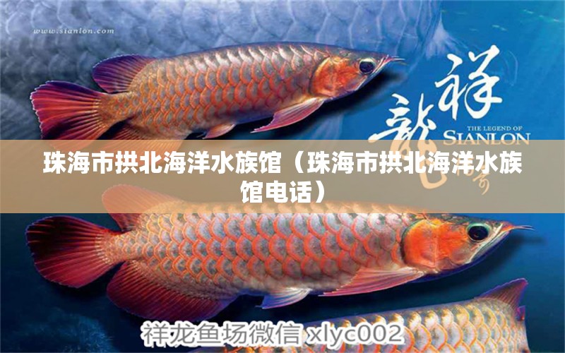 珠海市拱北海洋水族馆（珠海市拱北海洋水族馆电话） 全国水族馆企业名录