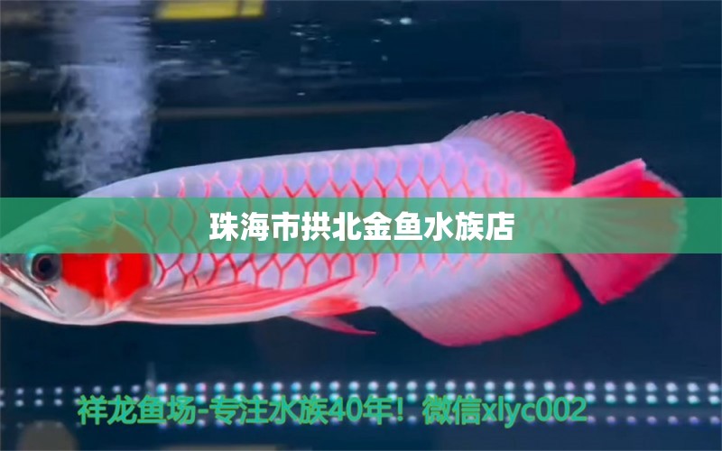 珠海市拱北金鱼水族店 全国水族馆企业名录