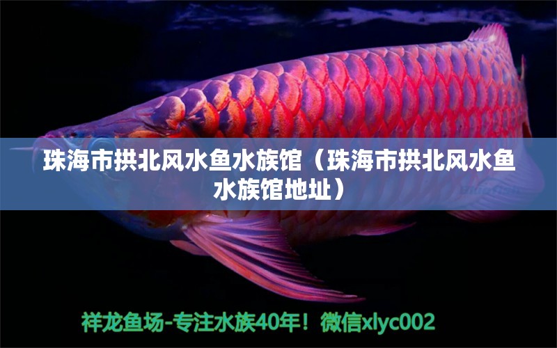 珠海市拱北风水鱼水族馆（珠海市拱北风水鱼水族馆地址） 鱼缸风水