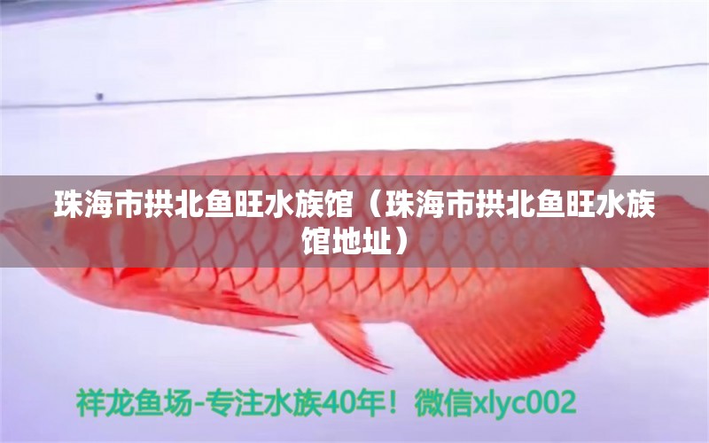 珠海市拱北鱼旺水族馆（珠海市拱北鱼旺水族馆地址）