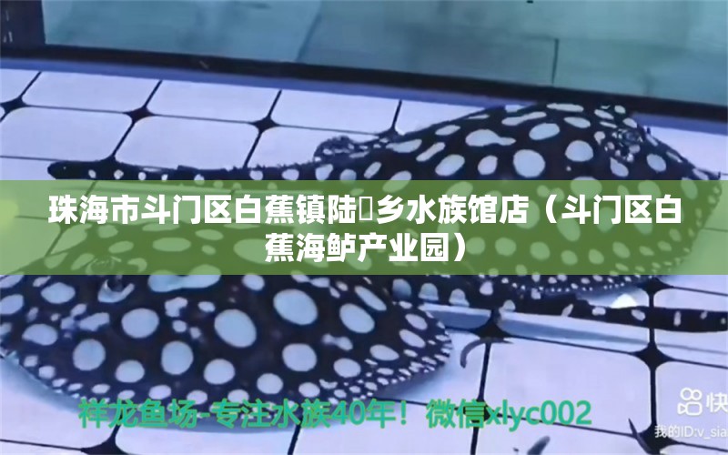 珠海市斗门区白蕉镇陆龍乡水族馆店（斗门区白蕉海鲈产业园）