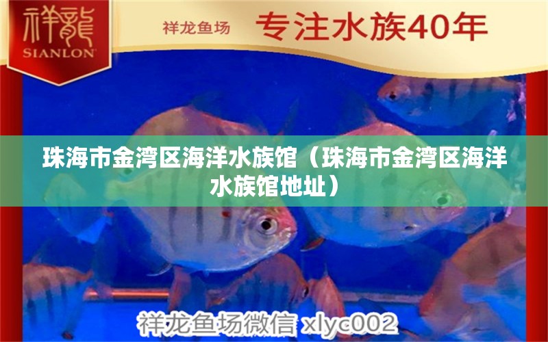 珠海市金湾区海洋水族馆（珠海市金湾区海洋水族馆地址） 全国水族馆企业名录