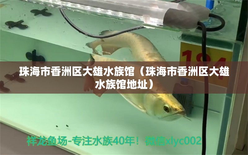 珠海市香洲区大雄水族馆（珠海市香洲区大雄水族馆地址） 全国水族馆企业名录