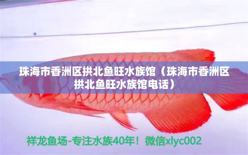 珠海市香洲区拱北鱼旺水族馆（珠海市香洲区拱北鱼旺水族馆电话）