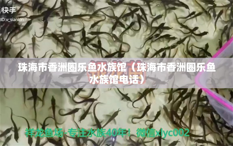 珠海市香洲圈乐鱼水族馆（珠海市香洲圈乐鱼水族馆电话）