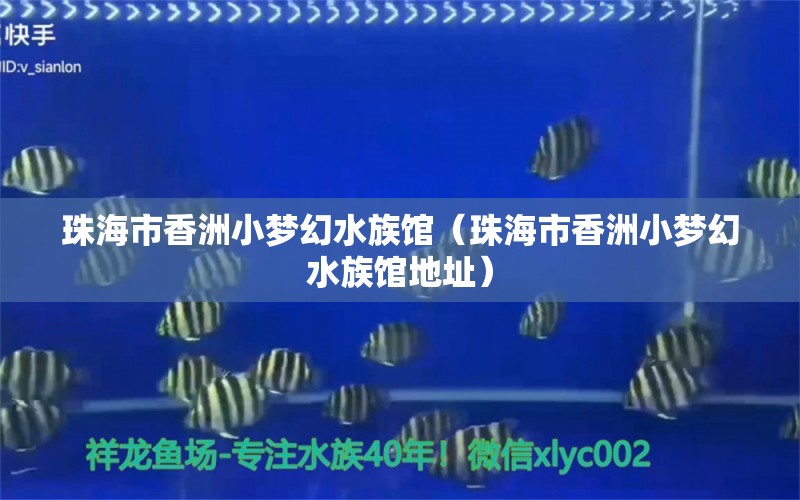 珠海市香洲小梦幻水族馆（珠海市香洲小梦幻水族馆地址）