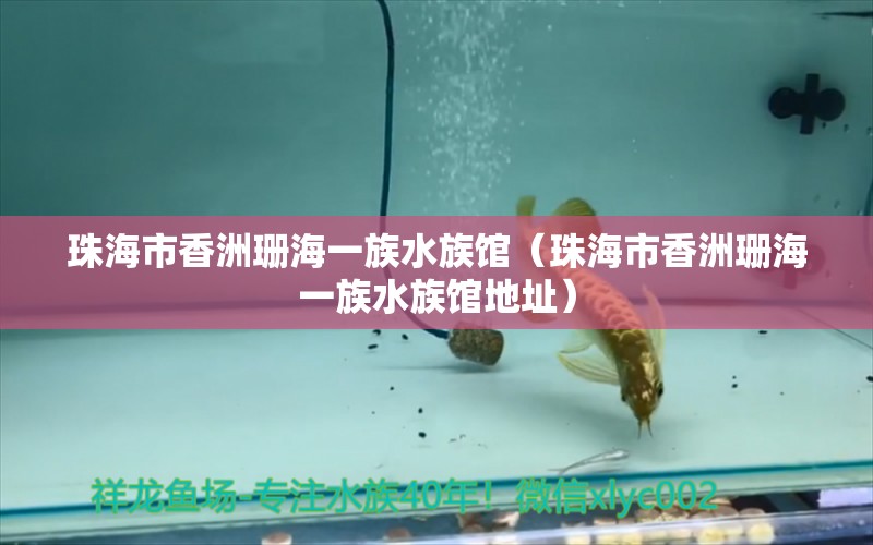 珠海市香洲珊海一族水族馆（珠海市香洲珊海一族水族馆地址） 全国水族馆企业名录