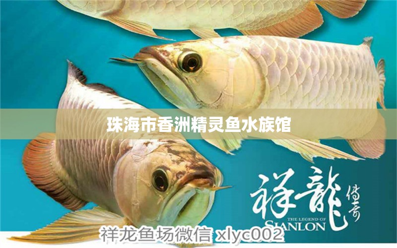 珠海市香洲精灵鱼水族馆