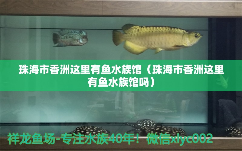 珠海市香洲这里有鱼水族馆（珠海市香洲这里有鱼水族馆吗） 全国水族馆企业名录