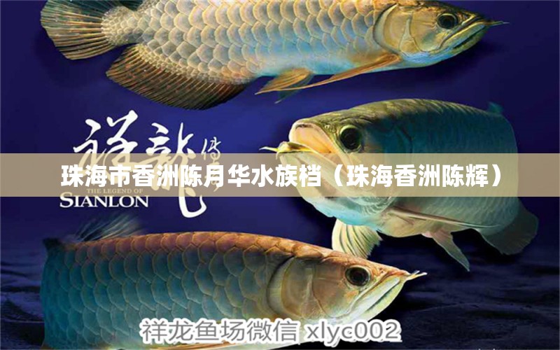 珠海市香洲陈月华水族档（珠海香洲陈辉）