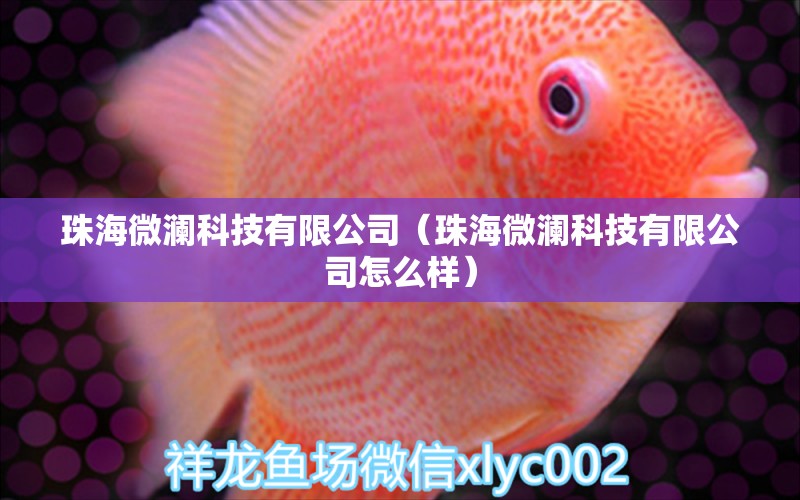 珠海微澜科技有限公司（珠海微澜科技有限公司怎么样）