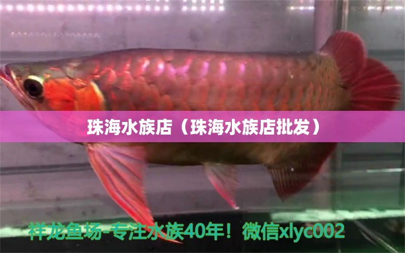 珠海水族店（珠海水族店批发） 观赏鱼市场