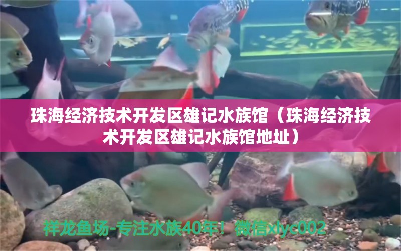 珠海经济技术开发区雄记水族馆（珠海经济技术开发区雄记水族馆地址）