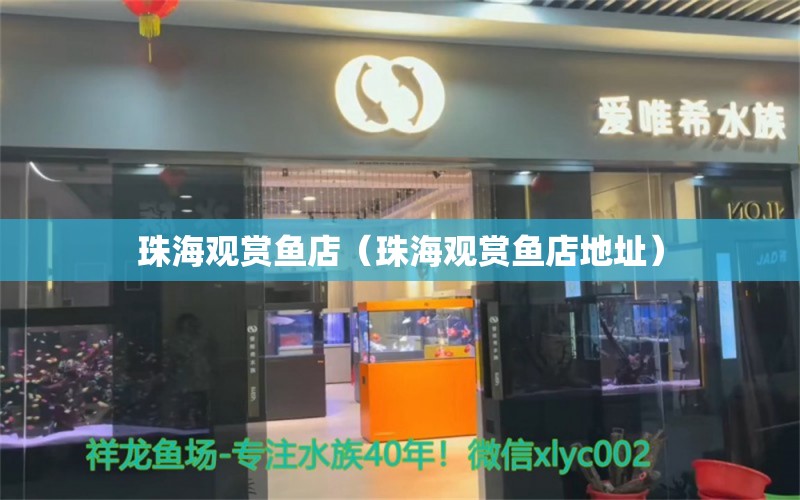 珠海观赏鱼店（珠海观赏鱼店地址） 观赏鱼市场