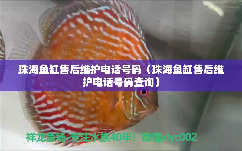 珠海鱼缸售后维护电话号码（珠海鱼缸售后维护电话号码查询） 其他品牌鱼缸